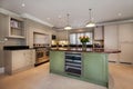 Luxury kitchen in traditional style with wine fridge