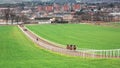 Racehorse Training  Warren Hill Newmarket Town Royalty Free Stock Photo