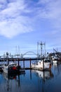 Newport bay bridge and docked fishing boats.
