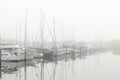 The Newport Oregon marina on a foggy morning. Royalty Free Stock Photo