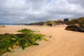 Newquay beach Cornwall uk towan one of several beaches Royalty Free Stock Photo