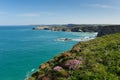 Newquay coast North Cornwall UK in spring with blue sky and sea Royalty Free Stock Photo