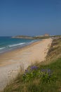 Newquay Cornwall Fistral beach with flowers