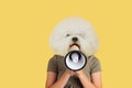 Contemporary artwork, conceptual collage. Young girl headed by white fluffy dog head isolated shouting at megaphone