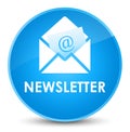 Newsletter elegant cyan blue round button Royalty Free Stock Photo