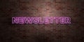 NEWSLETTER - fluorescent Neon tube Sign on brickwork - Front view - 3D rendered royalty free stock picture Royalty Free Stock Photo