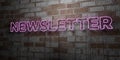 NEWSLETTER - Glowing Neon Sign on stonework wall - 3D rendered royalty free stock illustration Royalty Free Stock Photo