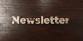 Newsletter - grungy wooden headline on Maple - 3D rendered royalty free stock image Royalty Free Stock Photo