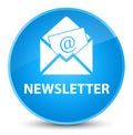 Newsletter elegant cyan blue round button