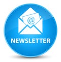 Newsletter elegant cyan blue round button Royalty Free Stock Photo