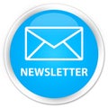 Newsletter premium cyan blue round button Royalty Free Stock Photo