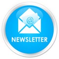 Newsletter premium cyan blue round button Royalty Free Stock Photo