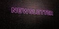 NEWSLETTER -Realistic Neon Sign on Brick Wall background - 3D rendered royalty free stock image Royalty Free Stock Photo