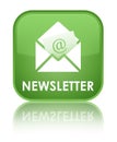 Newsletter special soft green square button Royalty Free Stock Photo