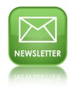 Newsletter special soft green square button Royalty Free Stock Photo