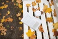 Newspaper and coffee cup on bench in autumn park Royalty Free Stock Photo