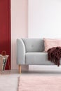 Grey couch in bright living room interior with three colored wall, real photo