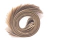 Newspaper Roll Isolated Royalty Free Stock Photo