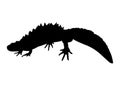 Newt Frog Black silhouette