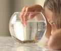 Newt under water swim in round aqua. Little girl observe triton. Royalty Free Stock Photo