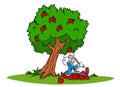 Newton idea law of gravity apple tree