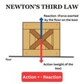 Newtons third law example newton\'s law 3rd science box action reaction example