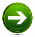 Next arrow icon glassy green round button illustration Royalty Free Stock Photo