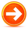 Next arrow icon natural orange round button Royalty Free Stock Photo