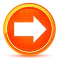 Next icon natural orange round button Royalty Free Stock Photo