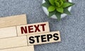 NEXT STEPS - words on wooden bars on a gray background with a cactus Royalty Free Stock Photo