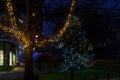 Harrogate Town Centre Christmas Tree With Colourful Sparkling Lights.