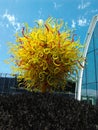 Seattle Chihuly Meuseum of Glass