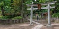 Nezu Jinja Shrine Torii Gate