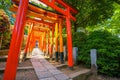 Nezu Shrine during the Azalea Festival in Tokyo, Japan Royalty Free Stock Photo