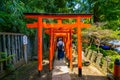 Nezu Shrine during the Azalea Festival in Tokyo, Japan Royalty Free Stock Photo