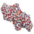 NF-kB nuclear factor kappa-light-chain-enhancer of activated B cells protein complex. Plays a role in cancer and inflammation.