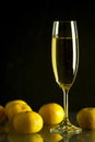 Christmas New Year holiday glass of champagne wine tangerines golden candle fire Christmas toys dark black background