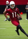 NFL Arizona Cardinals Football Pre-season Training Camp Practice