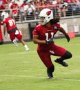 NFL Arizona Cardinals Football Pre-season Training Camp Practice