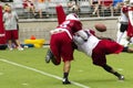 NFL Arizona Cardinals football team training camp Royalty Free Stock Photo