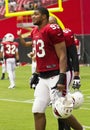 NFL Arizona Cardinals football team training camp