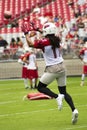 NFL Arizona Cardinals football team training camp