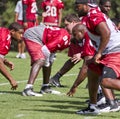 NFL Arizona Cardinals training camp Royalty Free Stock Photo