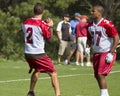 NFL Arizona Cardinals training camp