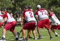 NFL Arizona Cardinals training camp Royalty Free Stock Photo