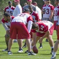 NFL Arizona Cardinals training camp Royalty Free Stock Photo