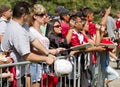 NFL Arizona Cardinals training camp fans Royalty Free Stock Photo