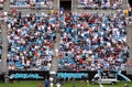 NFL - colorful fans - a sea of blue Royalty Free Stock Photo