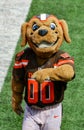 NFL Mascot Chomps The Cleveland Browns Royalty Free Stock Photo