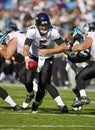 NFL: Nov 21 Baltimore Ravens Vs Carolina Panthers Royalty Free Stock Photo